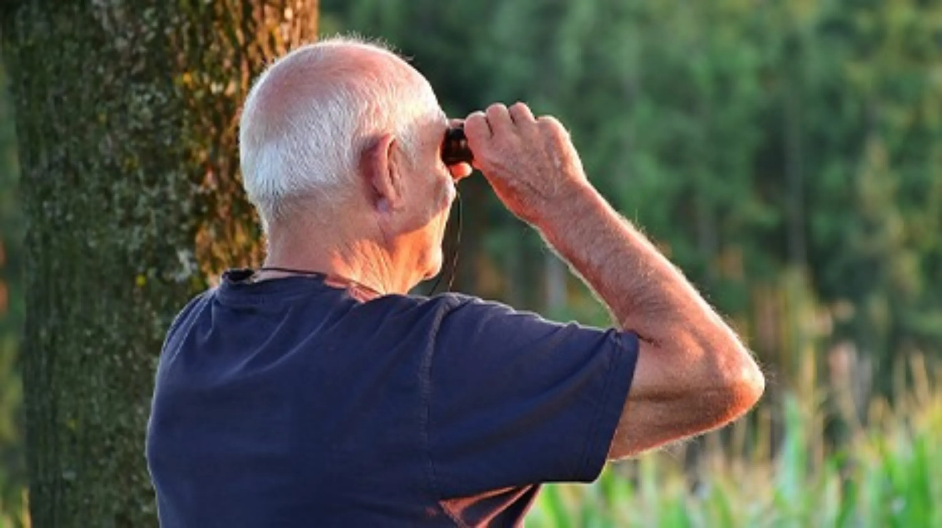 Vignette-politique-3e-age