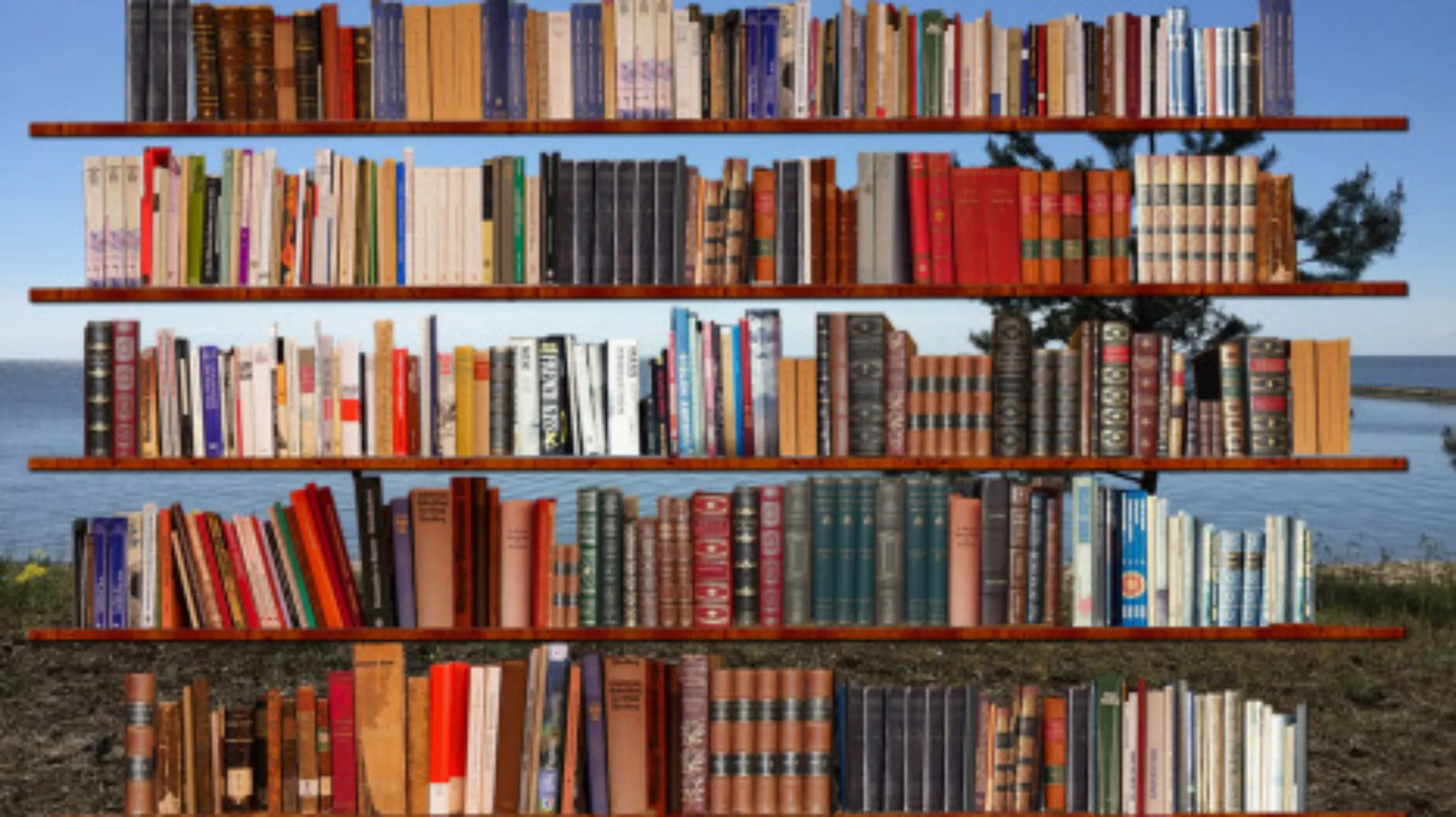 Vignette-publications